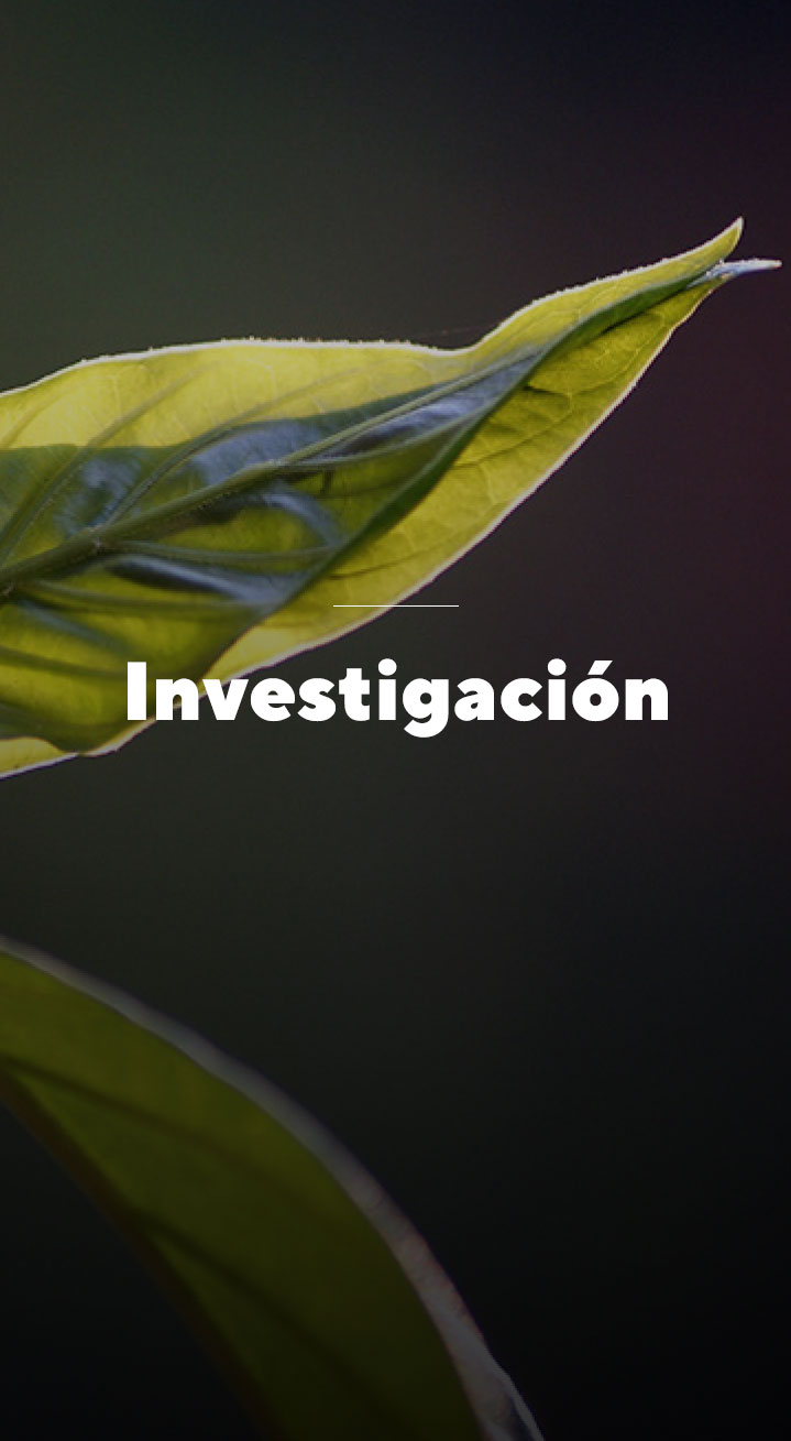 Investigación - World Ayahuasca Conference 2019 - ICEERS