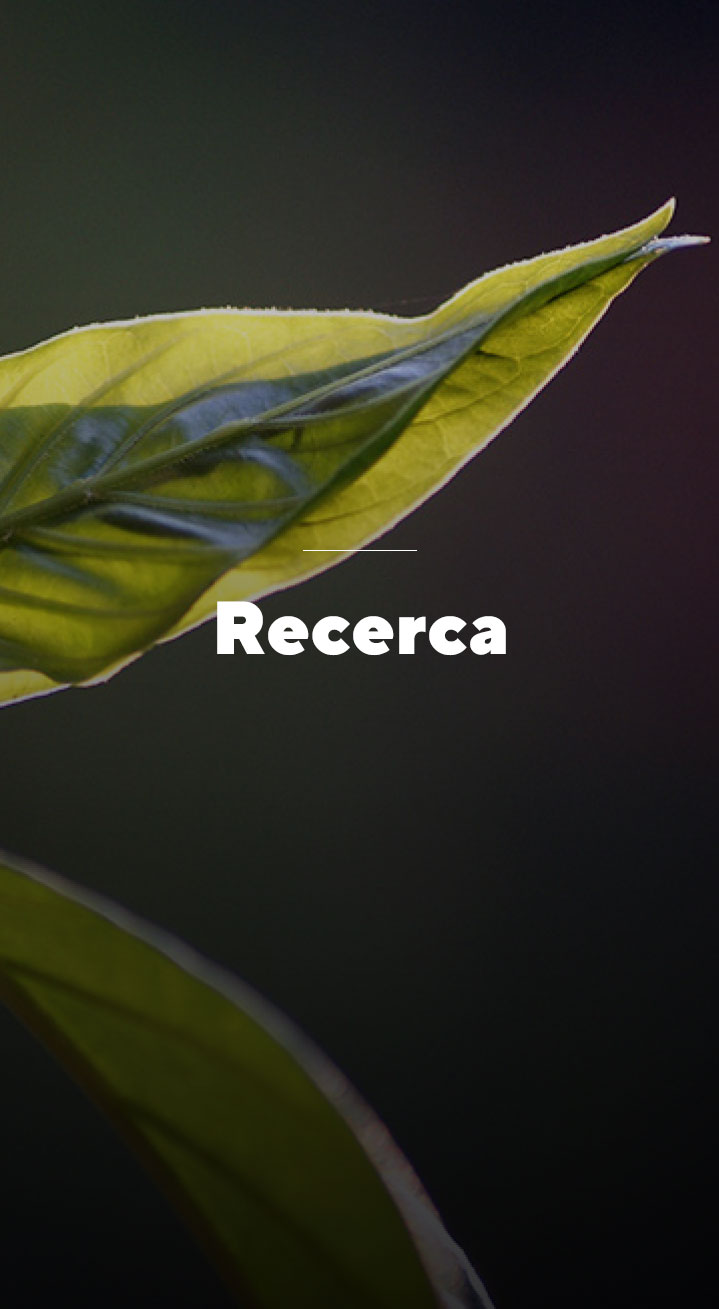 Recerca - World Ayahuasca Conference 2019 - ICEERS