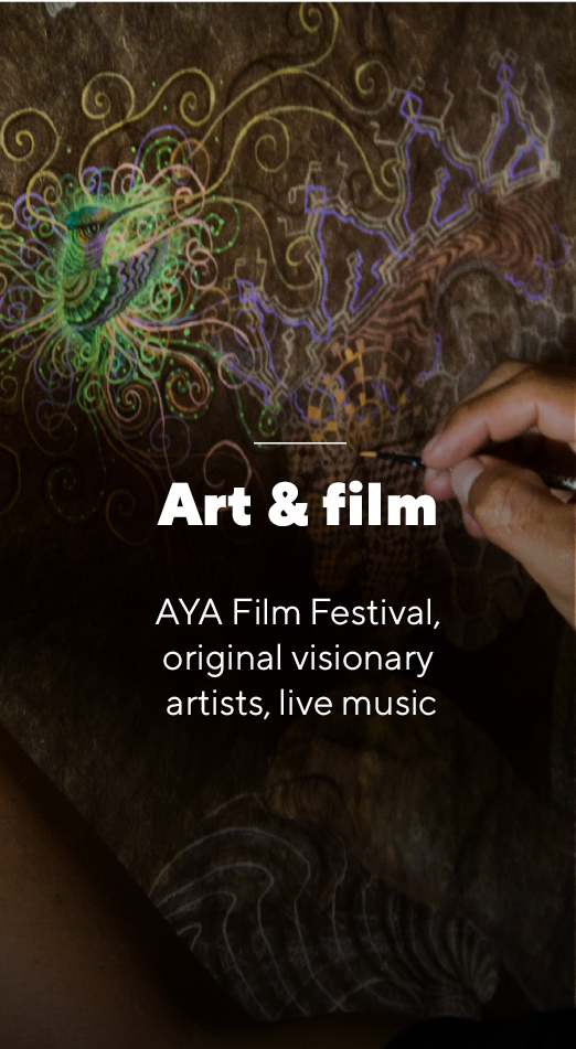 Art and film - World Ayahuasca Conference 2019