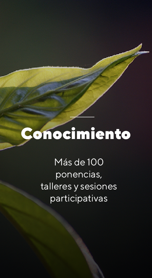 Conocimiento - World Ayahuasca Conference 2019